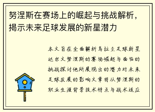 努涅斯在赛场上的崛起与挑战解析，揭示未来足球发展的新星潜力
